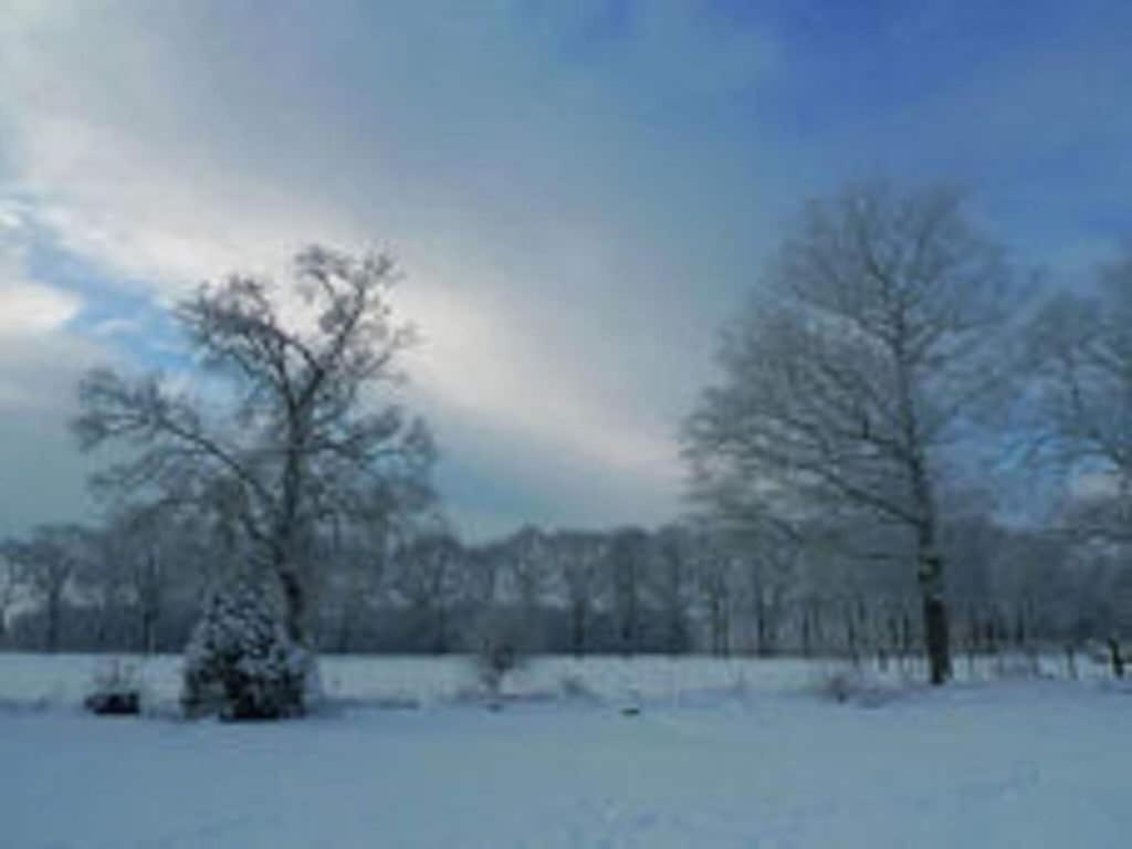 Lovely Design Countryside Holiday Home Хааксберген Экстерьер фото